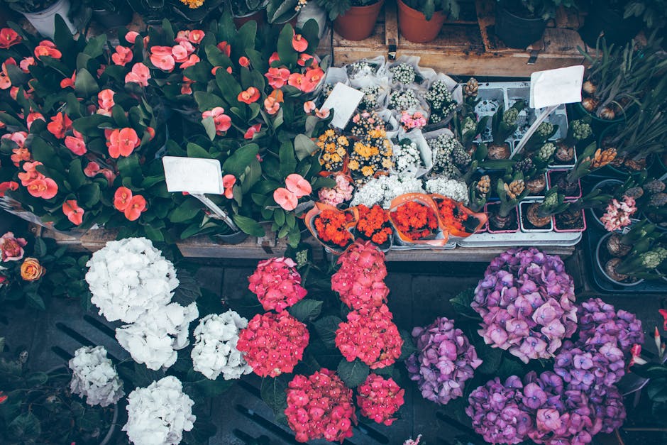 A vibrant display of various flowering plants on a flower stall, featuring clusters of pink, white, and purple hydrangeas with lush green foliage, alongside small potted plants with pink and orange bl