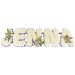 CUSTOM JENNA TRIBUTE